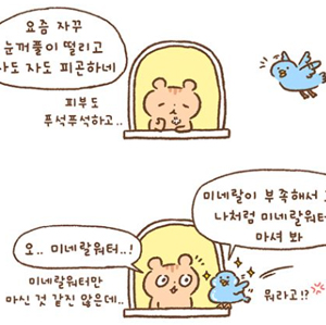 스토리이미지