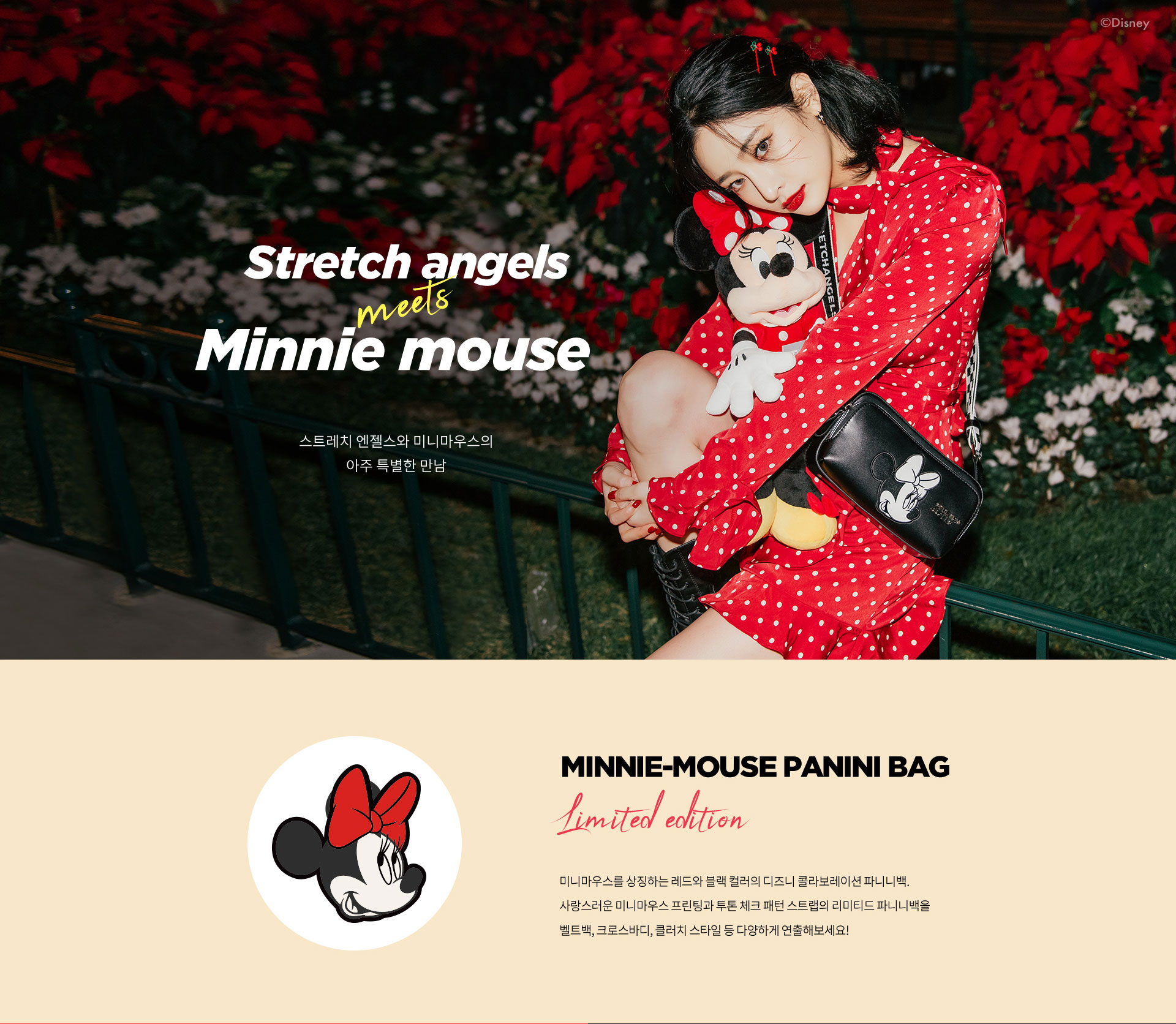 미니마우스내용1